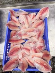 Tilapia Fillets IQF Frozen Tilapia Fillet Type Fish Origin China Trademark primega Shelf Life >12 Months Saving Condition - Image 5