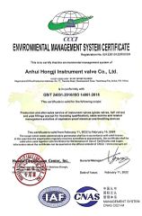 Environmental management system certificate certificate from Anhui Hongji Instruments & Valves Manufacturing Co., Ltd.