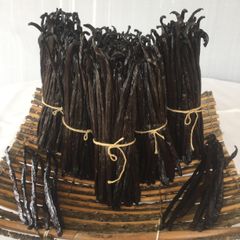 RENDAH PLANIFOLIA GOURMET VANILLA BEANS Super Premium Quality Indonesia Hot Selling Bourbon Vanilla Pods with Reasonable Price - Image 1