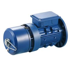 Variable Frequency Vf Adjustable-Speed Speed Regulation Three Phase Brake AC Electric/Electrical Motors - Image 6