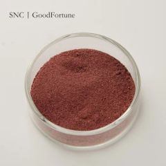Organic Acai Juice Powder - Pure Concentrate for Health Benefits - Image 2