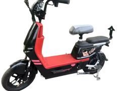 OEM/ODM 48V 350W Electric Bicycle Ebike on Electric City Bike - Image 1
