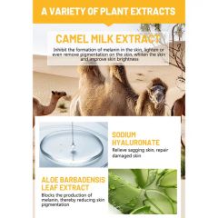 Private Label Best Selling Moisturizing Whitening Reduces Fine Lines Rejuvenating Camel Milk Face Cream - Image 5