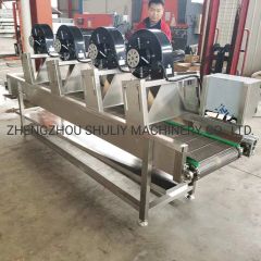 Top Quality Fruit and Vegetable Processing Line Potato Cleaning Machine - Image 4