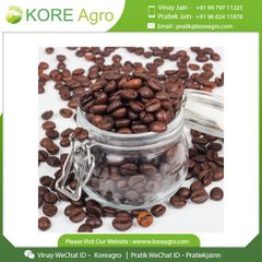 New Collection Best Arabic Coffee Beans 100% Natural Coffee Beans From Indian Manufacturer - Image 5