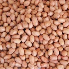 Natural Peanut Kernels for Sale with Quality Selection for Wholesale Markets and Food Ingredient Distributors - Image 1