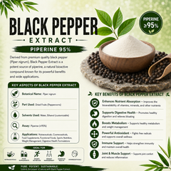 Pure Black Pepper Extract Powder (95% Piperine) – High-Potency Absorption Support - Image 1