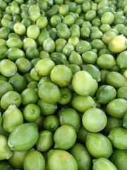 FRESH GREEN SEEDLESS LEMONS FOR SALE!! CLASS 1 EXPORT QUALITY EUREKA LEMONS FOR EXPORT – product photo 3, product detail gallery