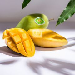 Tropical Fruits Sweet Taste Cheap Price Year Round Season Frozen Mango Export From Vietnam – product photo 2, product detail gallery