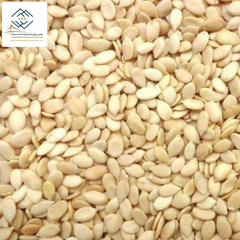 Premium Sudanese Watermelon Seeds Cleaned Grade 1 - Image 2