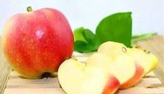 Apple fruit fresh new fresh Apple red delicious with High Sweet Delicious taste red color high amount of vitamin C fresh apple - Image 2