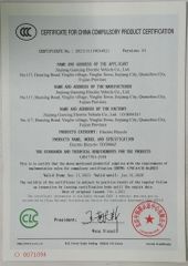 Certificates certificate of Quanzhou Taizhong Electric Vehicle Technology Co., Ltd. – certificate photo, supplier certificates section