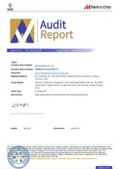 BV certificate from Nantong Sting Co., Ltd.