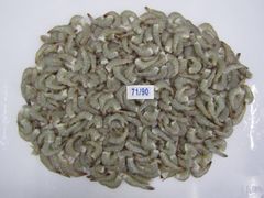 Company – thumbnail 30 of 30, supplier detail gallery