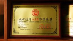 Professional Certificate certificate from Shenzhen Oya Ri New Material Technology Co., Ltd