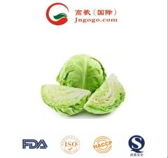 Fresh and Premium Chinese Cabbage Kind Fresh Size 1.5kg Color Green Origin China Trademark GOGO HS Code 0706100001 Storage Method - Image 2