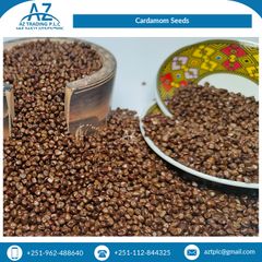 Highly Aromatic and Pleasant Taste 100% Pure Dried Black Cardamom Seeds from Reputed Wholesaler - Image 5