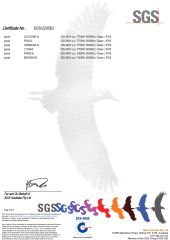SAA Certificate (Outdoor Spa) certificate from GUANGZHOU JOYEE WELLNESS TECHNOLOGY CO., LTD.