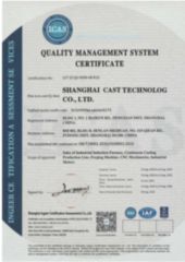 ISO9000 certificate from Shanghai Cast Technology Co., Ltd.