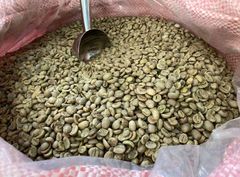 Arabica Coffee (Green Bean Coffee) Type Coffee Bean Weight (kg) 100 g Cultivation Type - Image 2
