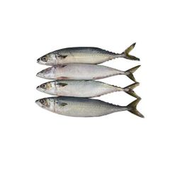 Hot Sale Seafood Frozen Whole Round Pacific Fish Mackerel - Image 1