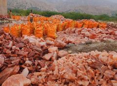 himalayan crown exports - Image 3