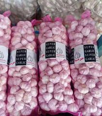Garlic Grade AAA Aroma Strong Flavor Pungent Brand Name STAR Storage Type Cold storage Place of Origin Shandong, China Packaging 2.5/2.6/2.7/10/20KG N.W. mesh bag - Image 3