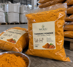 Bulk Turmeric Finger Powder for Animal Feed from Indonesia – Natural Fine Ground Turmeric Powder, 1 kg Plastic Packing - Image 3