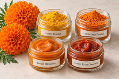 Lutein ester for nutraceuticals and animal feed - Image 3