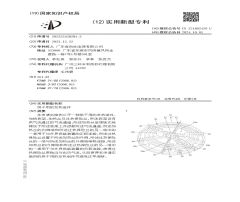 Utility Model Patent certificate from Guangdong Sunsir Electric Appliance Co., Ltd.