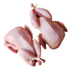 Fresh Frozen Chicken Whole Chicken and Cuts Vacuum Packed Long Shelf Life Ideal for Cooking and Processing – product photo 1, product detail gallery