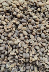 Arabica Green Coffee Bean Semi Wash Grade 1 Origin Gayo Indonesia – product photo 2, product detail gallery