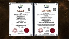 Professional Certificate certificate from Shenzhen Oya Ri New Material Technology Co., Ltd