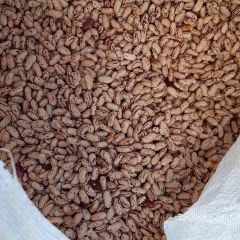 Dried Sugar Beans With Long Shelf Life And High Purity For Export And Wholesale Distribution Markets - Image 2