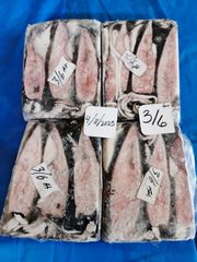 Squid Whole - Image 3