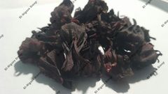 Hibiscus - Image 1