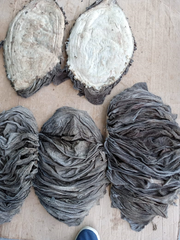 Salted Beef Omasum - Image 1