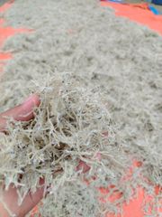 driedfish (dilis and lopoy) – product photo 2, product detail gallery