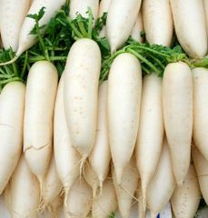 Fresh Radish Style Fresh Color White Type Radish Quality High Weight (kg) 10 Brand Name radish Certification ISO Model Number - Image 2