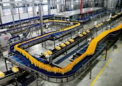 Conveyor System for Delivering Products Including Bottles Boxes Bags - Image 2