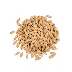 Wholesale Good Quality At Factory Price Barley Animal Feed Barley Seeds - Image 3