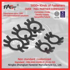 GB858 Plate Washer Spring Washers for Round Nuts Stainless Steel Stop Nuts - Image 1