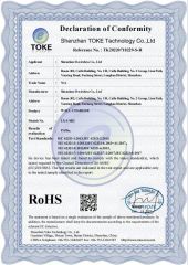 RoHS certificate of Charger certificate from Shenzhen D-Wireless Co., Ltd