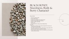 ndonesian Specialty Arabica Green Coffee Beans – West Java Full Washed - Image 4