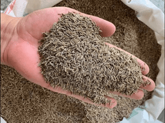 Cumin Seed – product photo 2, product detail gallery