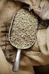 Selected Green Coffee Arabica Beans Delivering Balanced Aroma Smooth Taste And Reliable Quality - Image 2