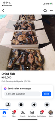 Dried cat fish - Image 2