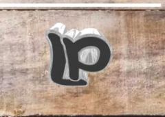 Linyi Palma International Trade Co., Ltd.