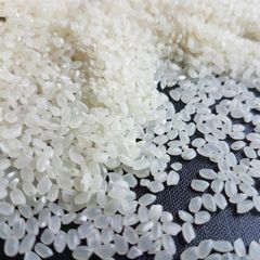 Short Grain Japonica Rice Soft Texture - Image 3
