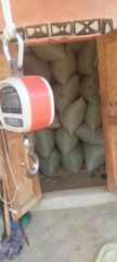 Dry cocoa seeds - Image 3